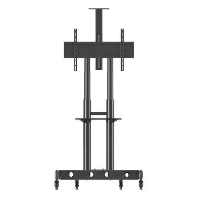 Soporte Móvil para Pantalla