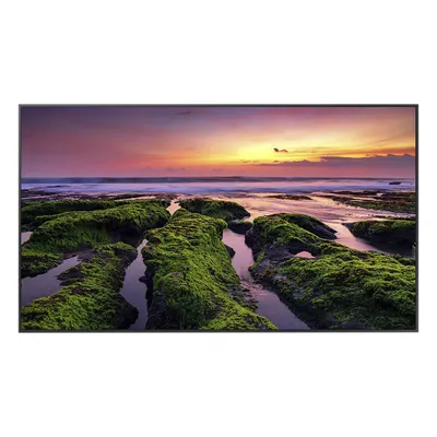Pantalla LED Profesional