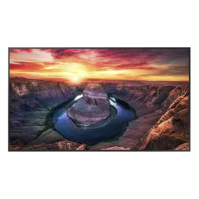 Pantalla Profesional LED